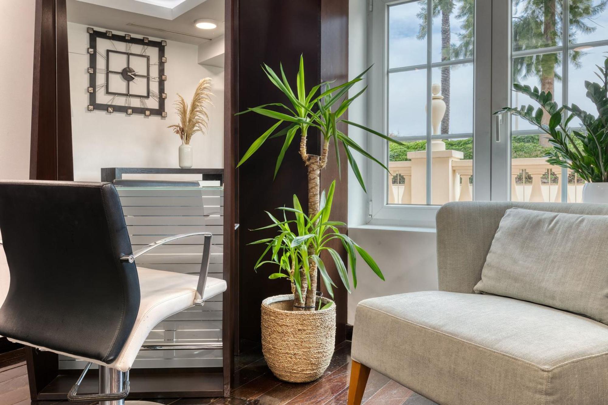 더 레이크 리조트 빌라모라 외부 사진 Yucca gloriosa